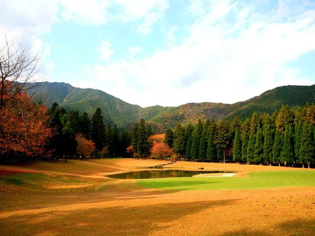 画像: 17番 175Y 池越えのパー3