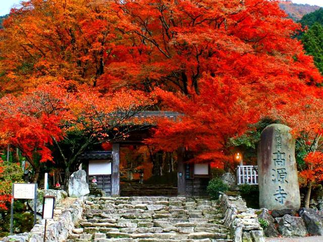 画像: 【六甲の紅葉スポット】ザ・サイプレスGCの丹波市にある瑞巌山・高源寺の紅葉。天目カエデとモミジの見事な山門。境内奥の三重塔の紅葉も必見 くわしくはこちら