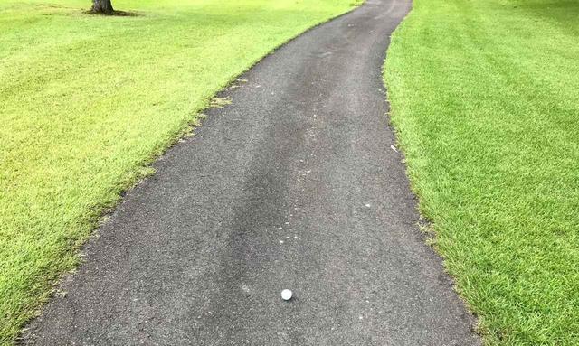 画像: カート道路やや右側に球が止まった