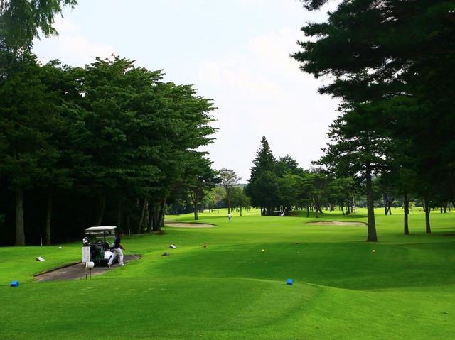 画像: 1番(10番)224Y(197Y)P3 左右バンカー間の花道狙いで!