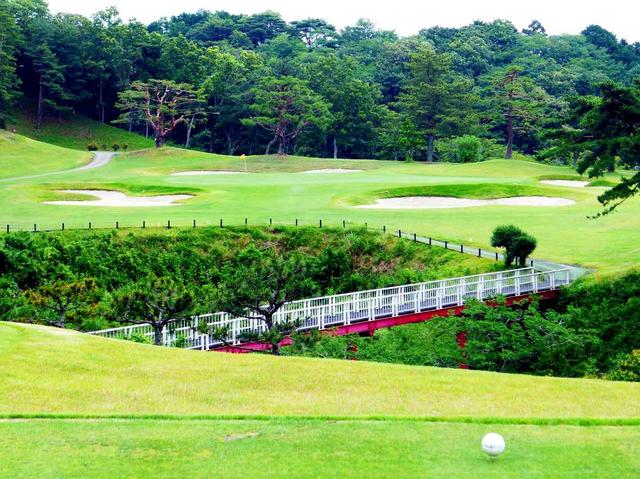 画像: 裾野コース6番(183ヤード、パー3)。グリーン右側が奥行きがないので基本はグリーンセンター狙いか。パッティングが明暗を分ける、前半のキーホール