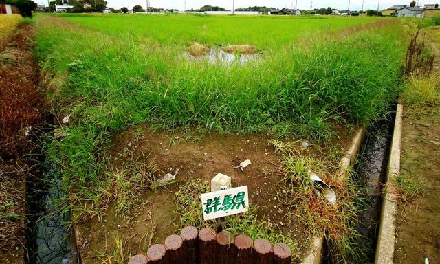 画像13: 【ゴルフ場クイズ】珍しい平地にある埼玉、栃木、群馬の「3県境」。ここのすぐ近くにあるゴルフ場にまつわる2問!