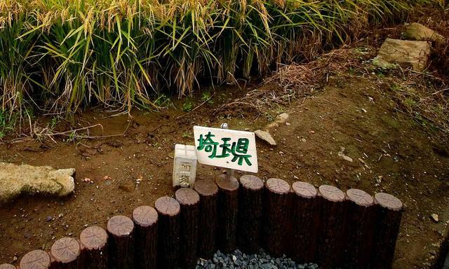 画像12: 【ゴルフ場クイズ】珍しい平地にある埼玉、栃木、群馬の「3県境」。ここのすぐ近くにあるゴルフ場にまつわる2問!