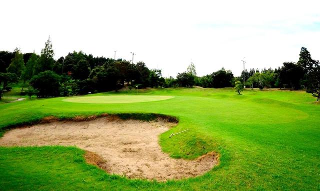 画像: 1番 105Y PAR3