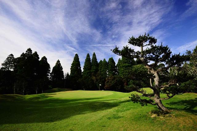 画像: 6番 110Y PAR3