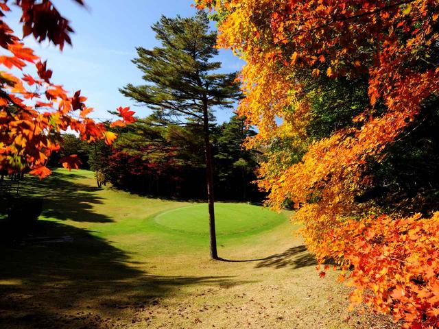 画像: 白樺コース 5番ホール(80ヤード)