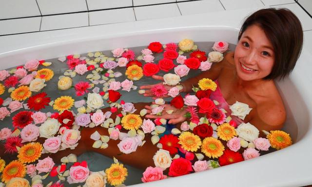 画像: 薔薇、ガーベラ、色とりどり