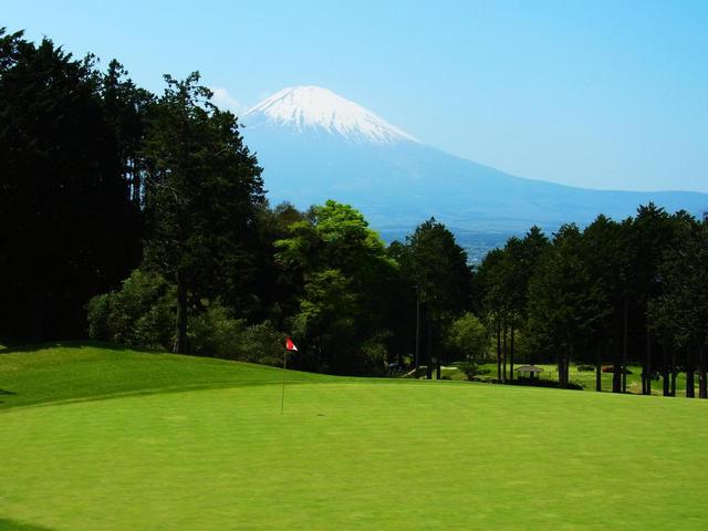 画像: 素晴らしいコンディションに保たれたグリーン