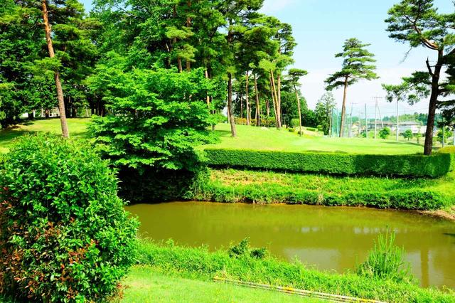 画像: 5番 55Y P3 池越えだからスリル満点!