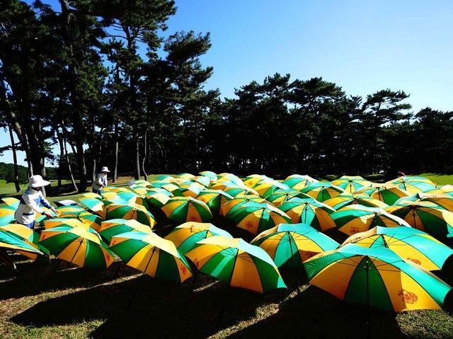 画像: クラブハウスの前に並べられた傘。雨後に見られる大洗名物