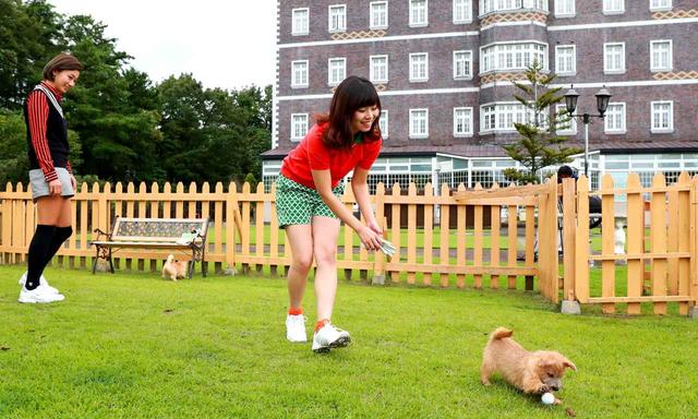 画像: プレーを終えたら、そのまま直行して遊べます。