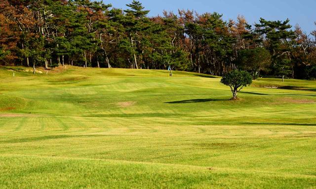 画像: 10番 335Y P4 フェアウェイの小さな木(写真)の左がティショットの狙い目