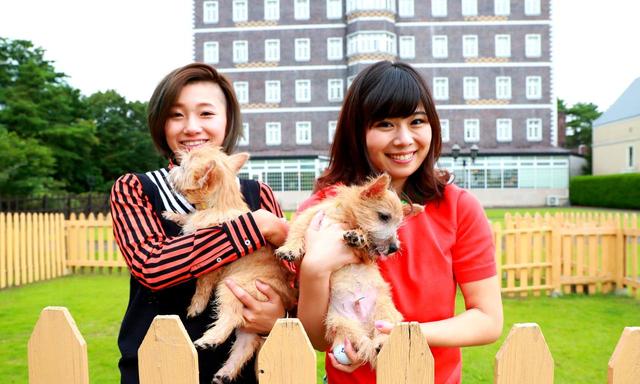 画像: ヨーロピアン館前のガーデンコートの前がワンちゃん広場「杜の庭」