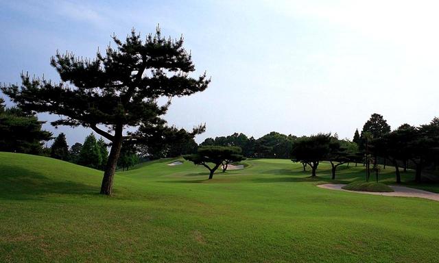 画像: 3番ホール/158㍎/パー3距離的には短いが、フェアウェイのアンジュレーションや樹木が正確なショットを求める。グリーン奥が狭いため手前から攻めたい