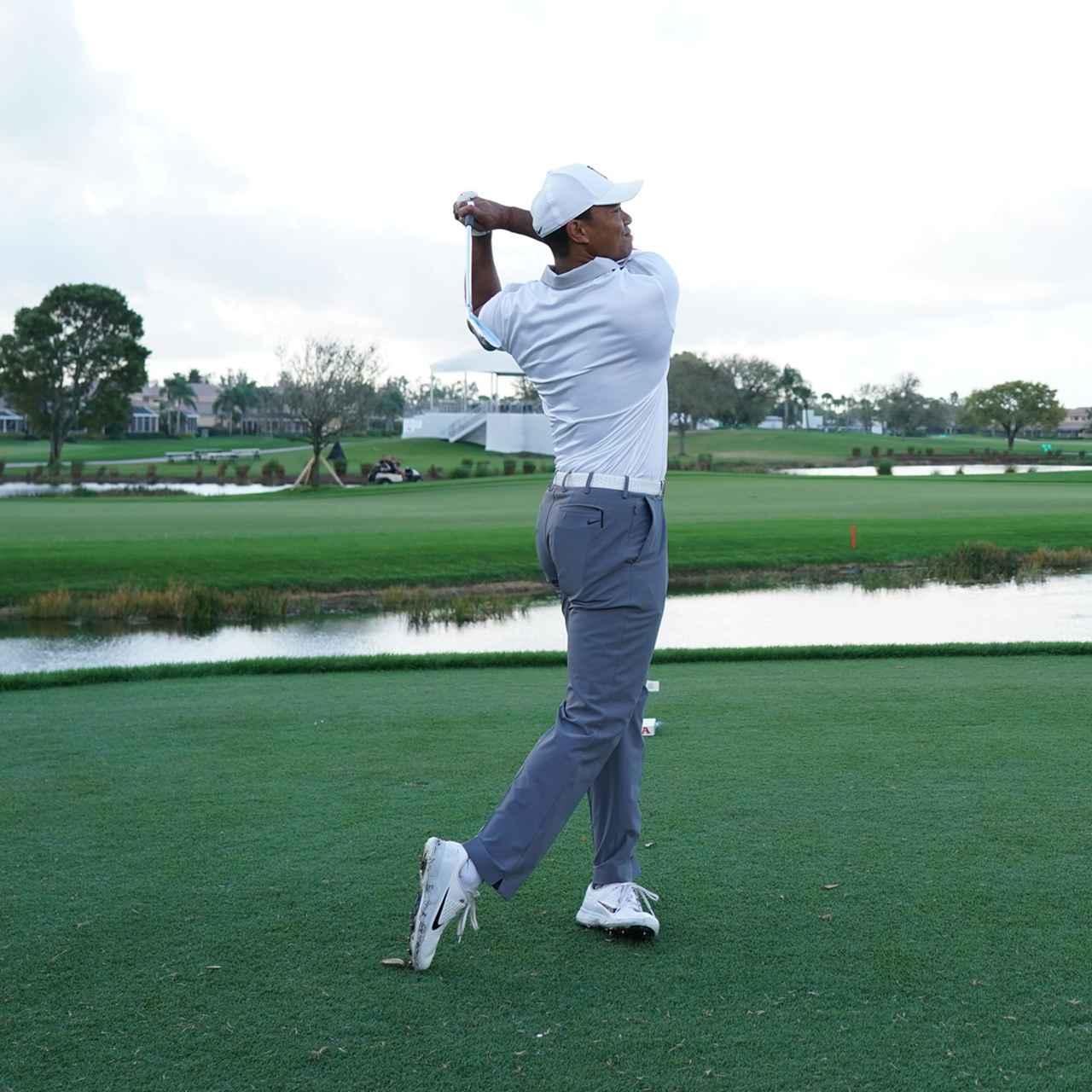 河内のタイガーウッズさん専用 河内のタイガーウッズさん専用 河内のタイガーウッズさん専用 ゴルフ