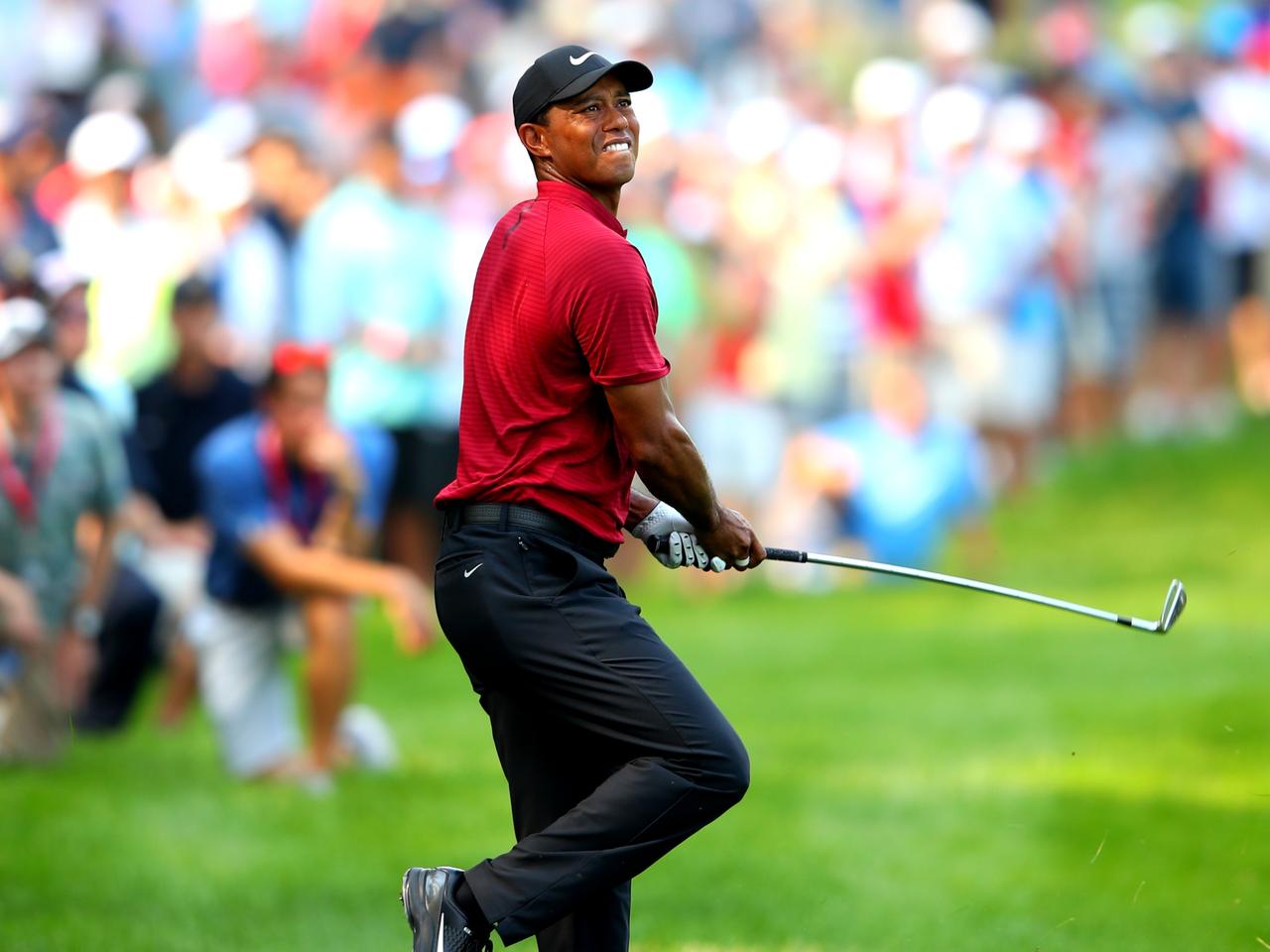 【タイガー・ウッズ】「フェースに乗せて、抜いていく。世界一のアイアンテクニックです!」。甦った男の技術を石川遼が特別解説 ゴルフへ行こう