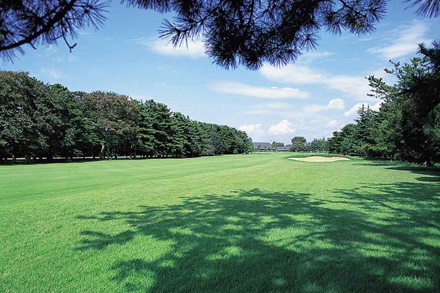 画像: 18番ホール/522㍎/パー5 まっすぐなパー5で、思い切ってティショットが打てる