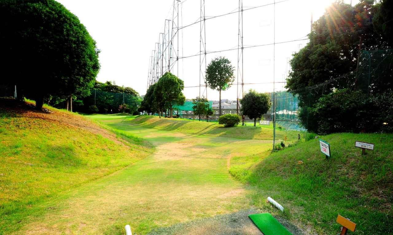 画像: 12H 76Y P3