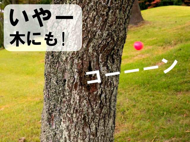 画像3: 【ルール】2度打ちした球が体にも当たった! これって何打罰になる?