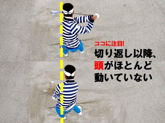 画像: 「頭が動かなければ入る場所も安定します」