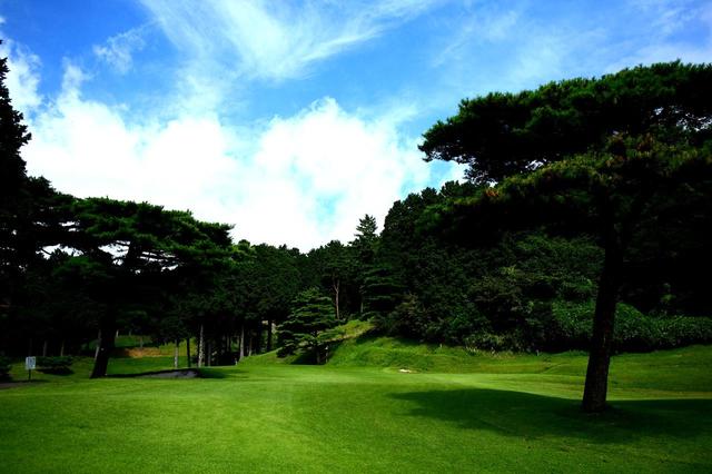 画像: 10番ホール/515㍎/パー5 グリーンまで登りが続く、松を避けて狙っていく