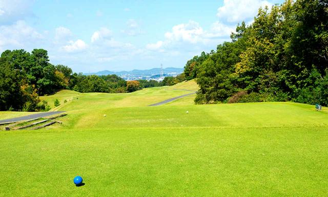 画像: 18番ホール/456㍎/パー4(西コース)ウッドフレンズ森林公園ゴルフ場の中で最も難しいとされるパー4。ティショットは右寄りの鉄塔狙い