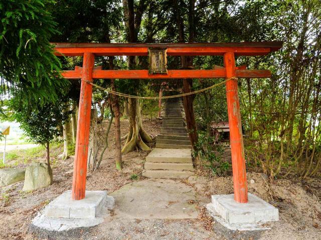 画像: 例えば、コース内にある鳥居内はプレー禁止区域