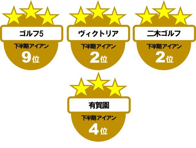 画像3: インプレスUD+2 アイアン(ヤマハ)