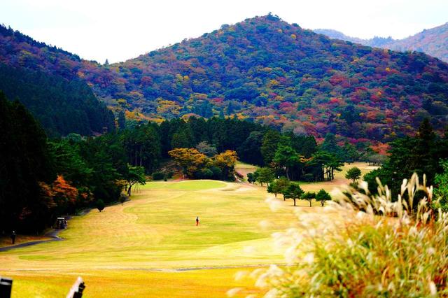 画像: 標高750m。紅葉の美しさも見どころのひとつ