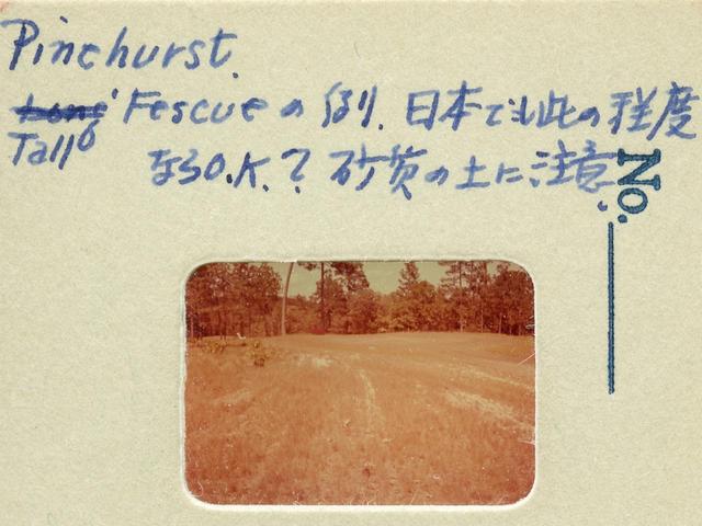 画像: パインハースト ゴルフリゾートの草地。「こういうラフが日本にもあれば、日本人のゴルフ技術も国際的になる」と参考にしたという