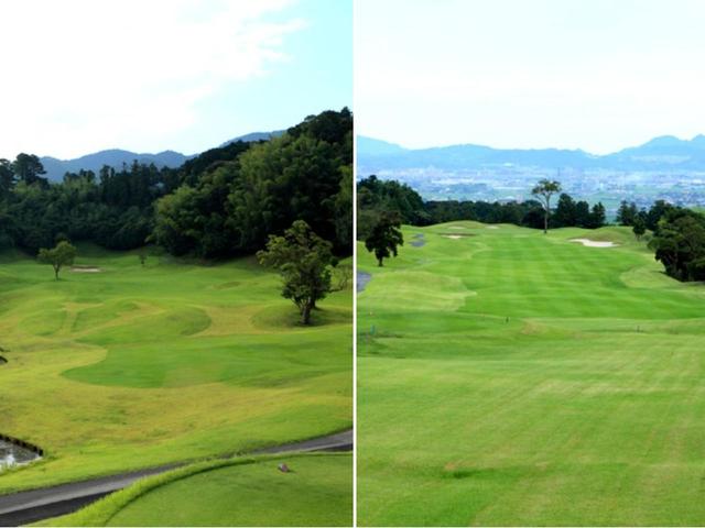 画像: 8番 316Y P4(左)2番 602Y P5(右)