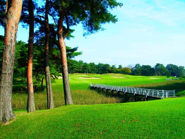 画像: 池越えの西コース11番(150Y・パー3)風があると距離感が難しい