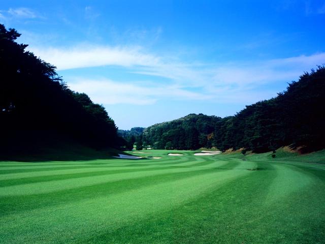 画像: 府中の丘陵台地を活かした難度の高いコース。四季折々の花木で彩られ、春の桜は特に見事