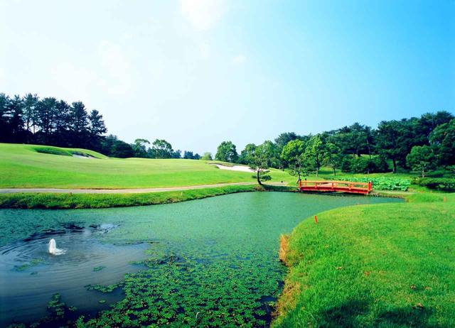 画像: 17番ホール(179ヤード、パー3)深いバンカーに囲まれた池越え。池の柔らかなライン、グリーンへの立体感が特徴