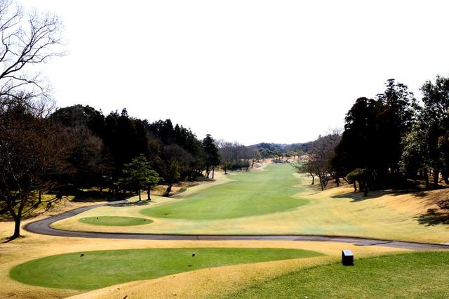 画像: 2番ホール(571Y・P5)右にゆるやかにドッグレッグするパー5。2打目は右の池を避けて左へ逃げすぎると3打目は木がスタイミーに