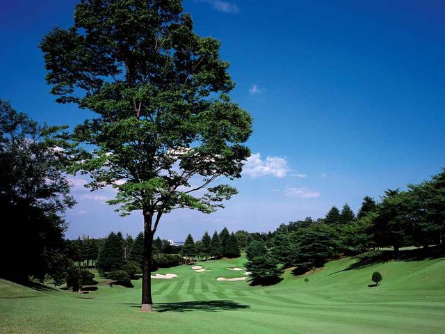 画像: 13番ホール/558㍎/パー5 1打目はわずかな打ち上げ、2打目の落下地点からは打ち下ろしになる距離のあるパー5。ホールが右へ曲がっていくため飛距離よりも方向性が求められる