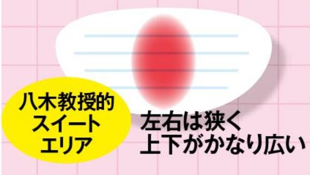 画像: TS2ドライバー