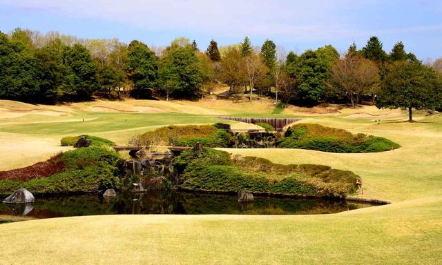 画像: 8番ホール(159Y・P3)3段の滝がある池越え。和風庭園の趣