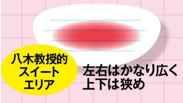 画像: ミズノプロ モデルE