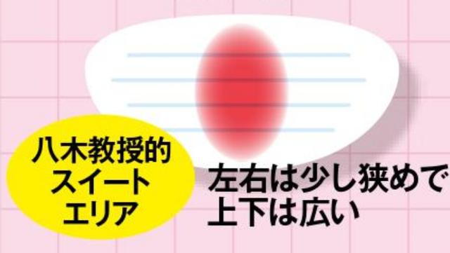 画像: スリクソンZ585