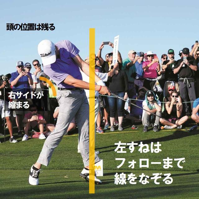 画像1: 正面写真は「左すね」、後方写真は「お尻」をチェック