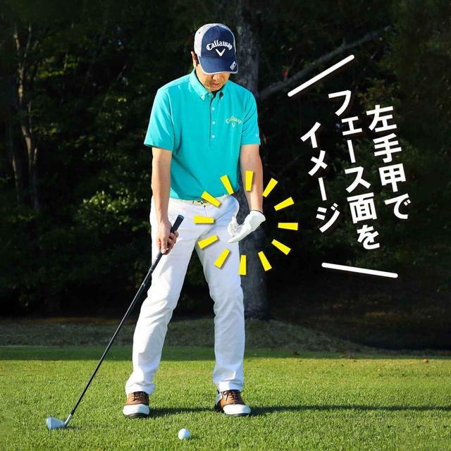 画像2: 左手甲を地面に向ける