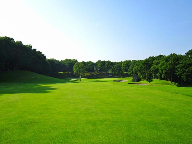 画像: 今年で42年目の歴史 北海道meijiカップ (8/9~11)
