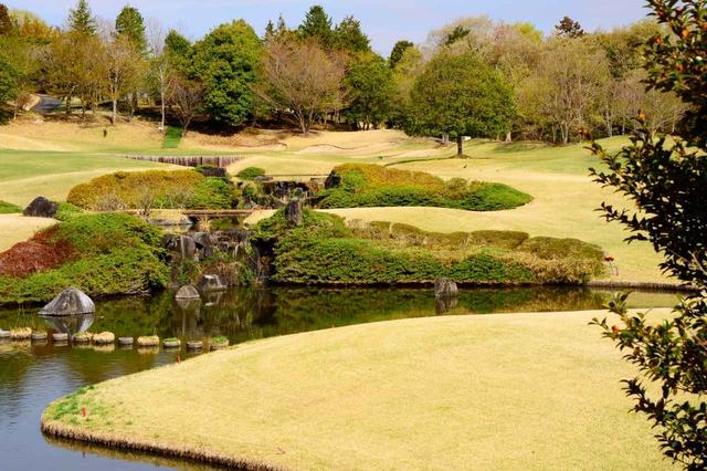 画像: 8番ホール(180Y・P3)3段の池が特徴的な打ち上げのショートホール