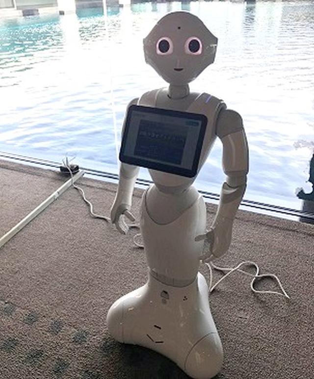 画像: ペッパー君がお出迎え