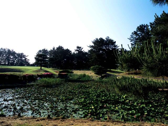 画像: 6番ホール/143㍎/パー3 池越えの。3段グリーンが難易度を増す