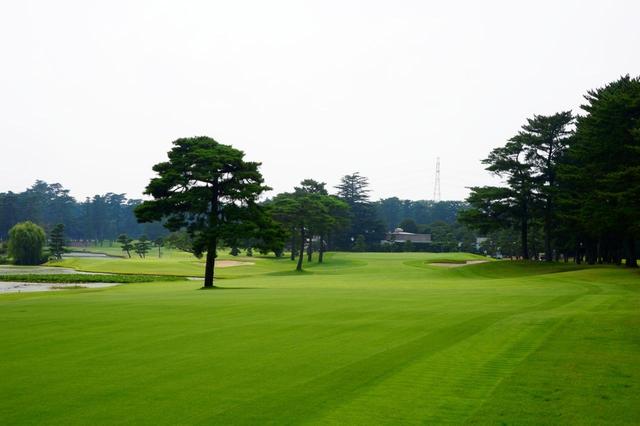 画像: 紫カントリークラブあやめ36 林間のEASTコース、池絡みホールが多いWESTコースの36ホール