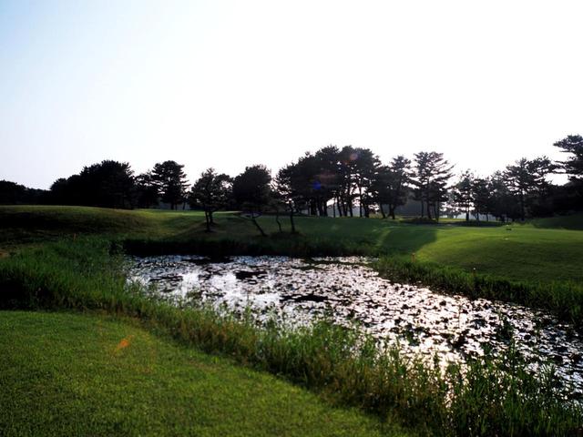 画像: 11番ホール/142㍎/パー3 池越え。グリーンセンターが狙い目
