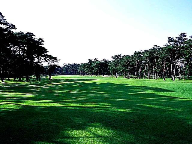画像1: 11番ホール/455㍎/パー4 松の廊下と呼ばれるホール。フェアウェイには起伏があり、落とし場所によって左右どちらにもキックしてしまう