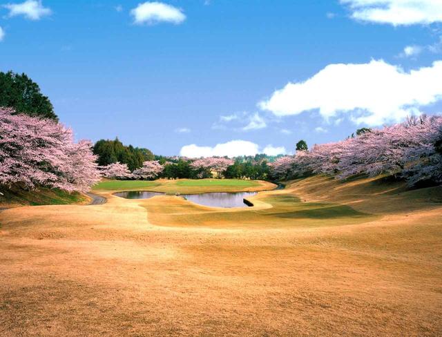 画像: 東コース6番(353Y・P4)